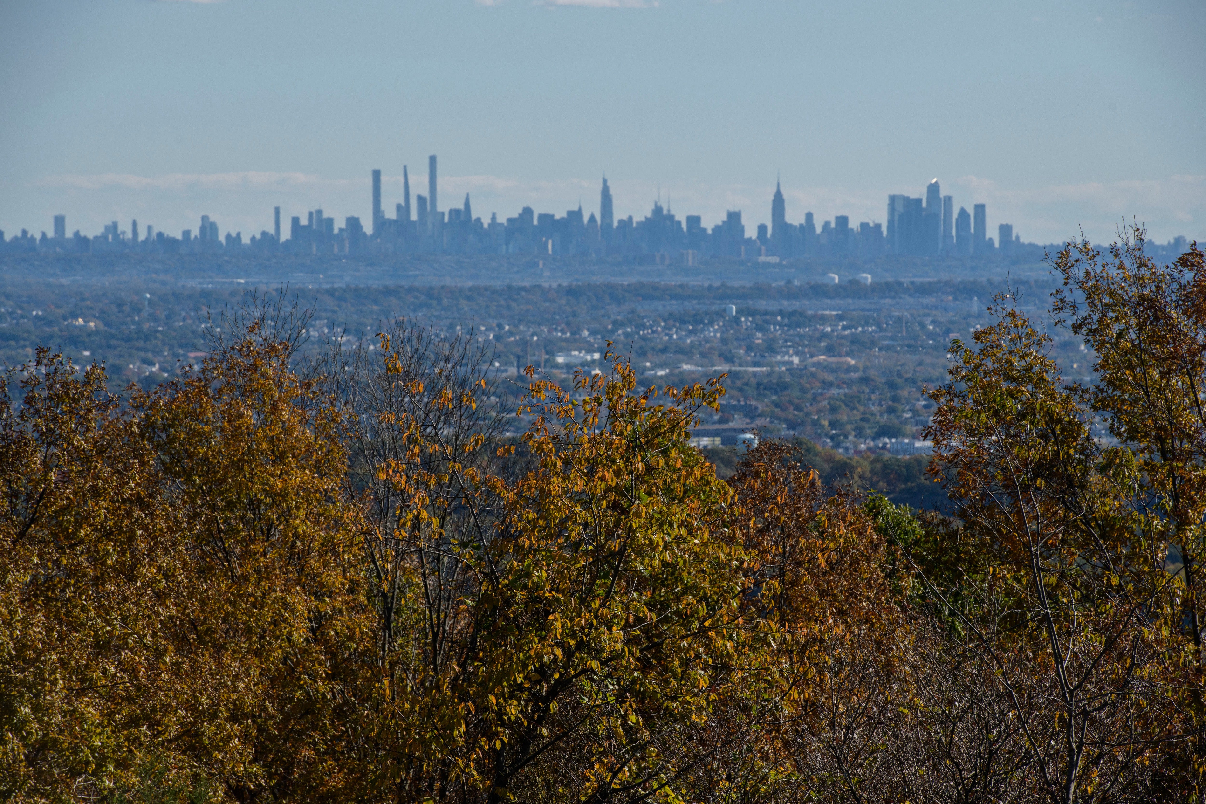 Mike Familant, who documents his investigations into reported Bigfoot sightings online, has told local media that forests around High Point State Park, Stokes State Forest and the Delaware Water Gap are some of the state's hotspots