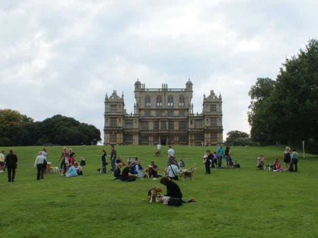 Wollaton-Park.jpg