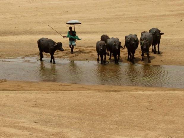 India-heatwave7.jpg