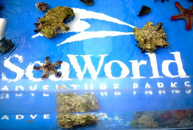 web-seaworld-getty.jpg