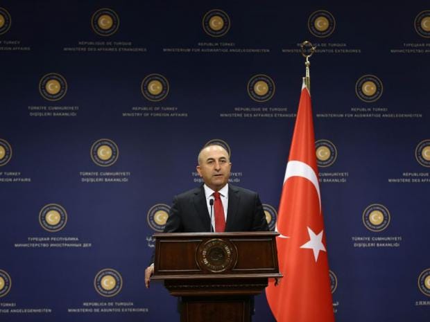 31-Cavusoglu-AFP.jpg