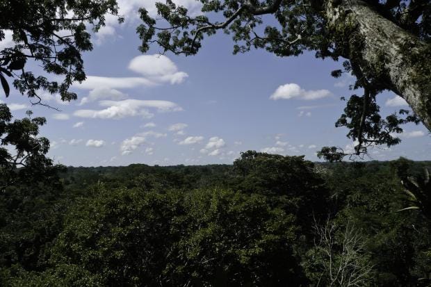 amazon-ecuador.jpg