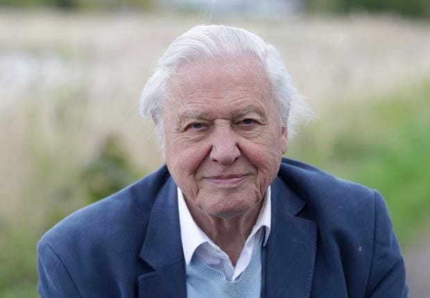 David-Attenborough.jpg