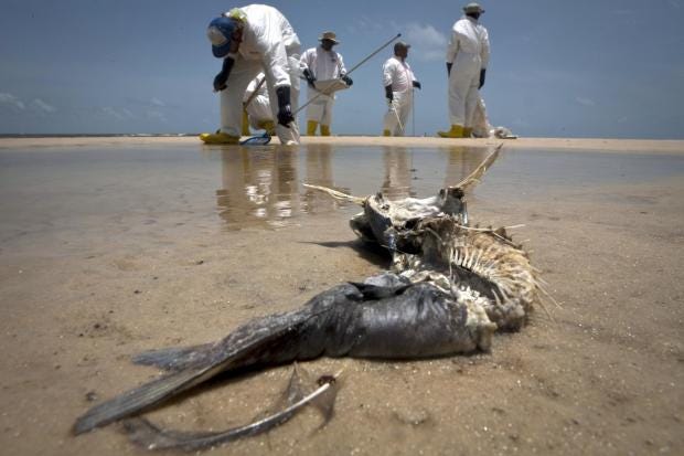 deepwater-horizon-gulf-spill-oil-bp.jpg