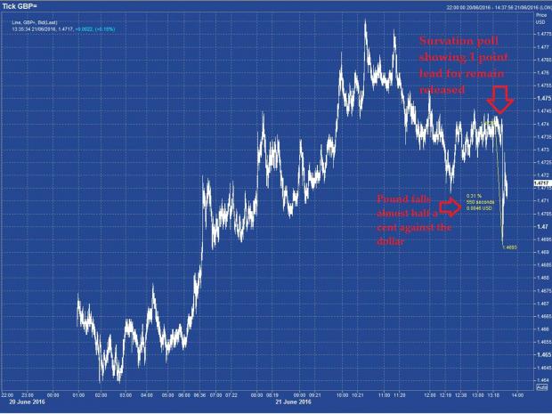 pound-chart-survation.jpeg