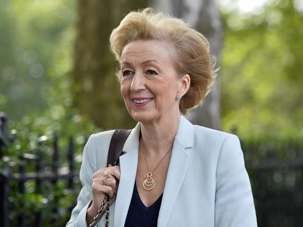 Theresa May and Andrea Leadsom win Tory MP vote as Gove eliminated