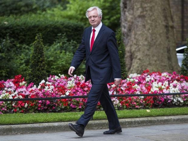 david-davis-brexitminister.jpg david-davis-brexitminister.jpg