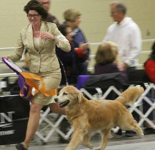 indiana-dog-show.jpg