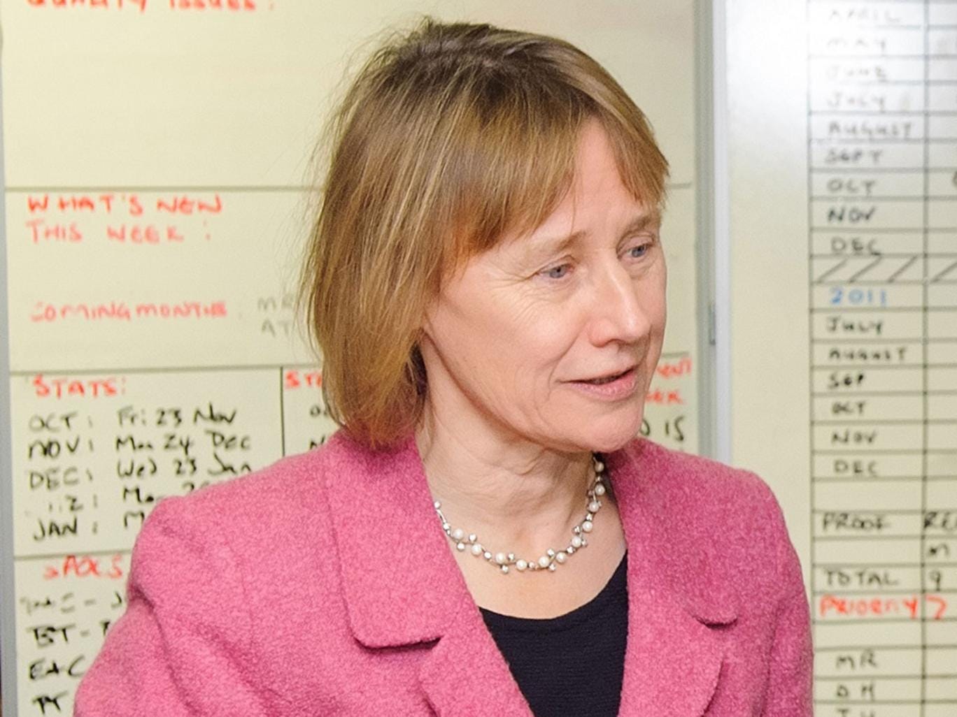 Lin Homer: HMRC’s chief executive was criticised over the way her staff interpreted tax laws