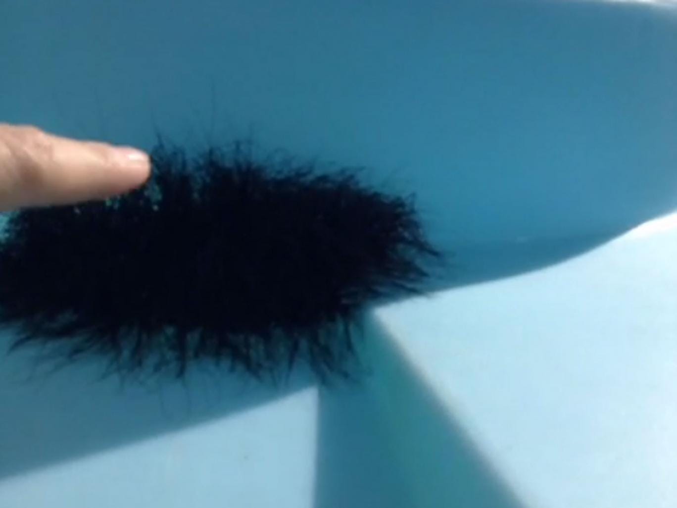 This innocuous ball of fluff has become a viral hit after it was investigated by an unsuspecting member of public...