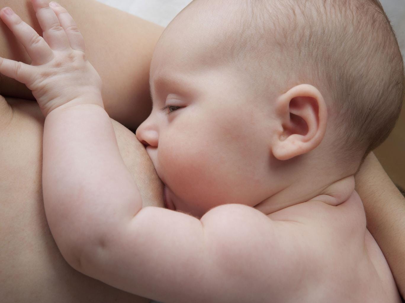 MODEL RELEASED Baby girl (2-5 months) breast feeding, close-up 2010