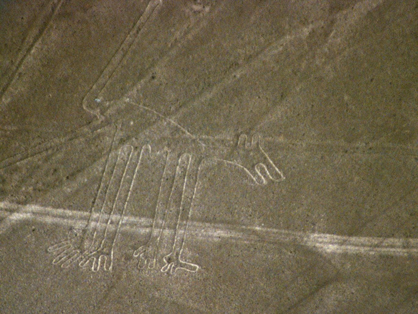 It is one of several animals and birds depicted on the ancient plateau
