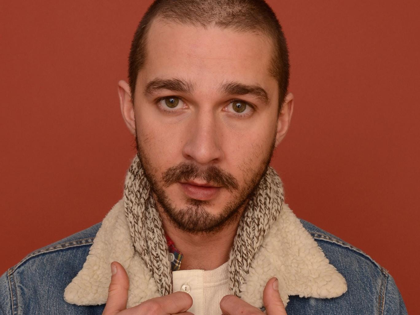 Shia LaBeouf is one of Brad Pitt's favourite actors in the world ever, apparently