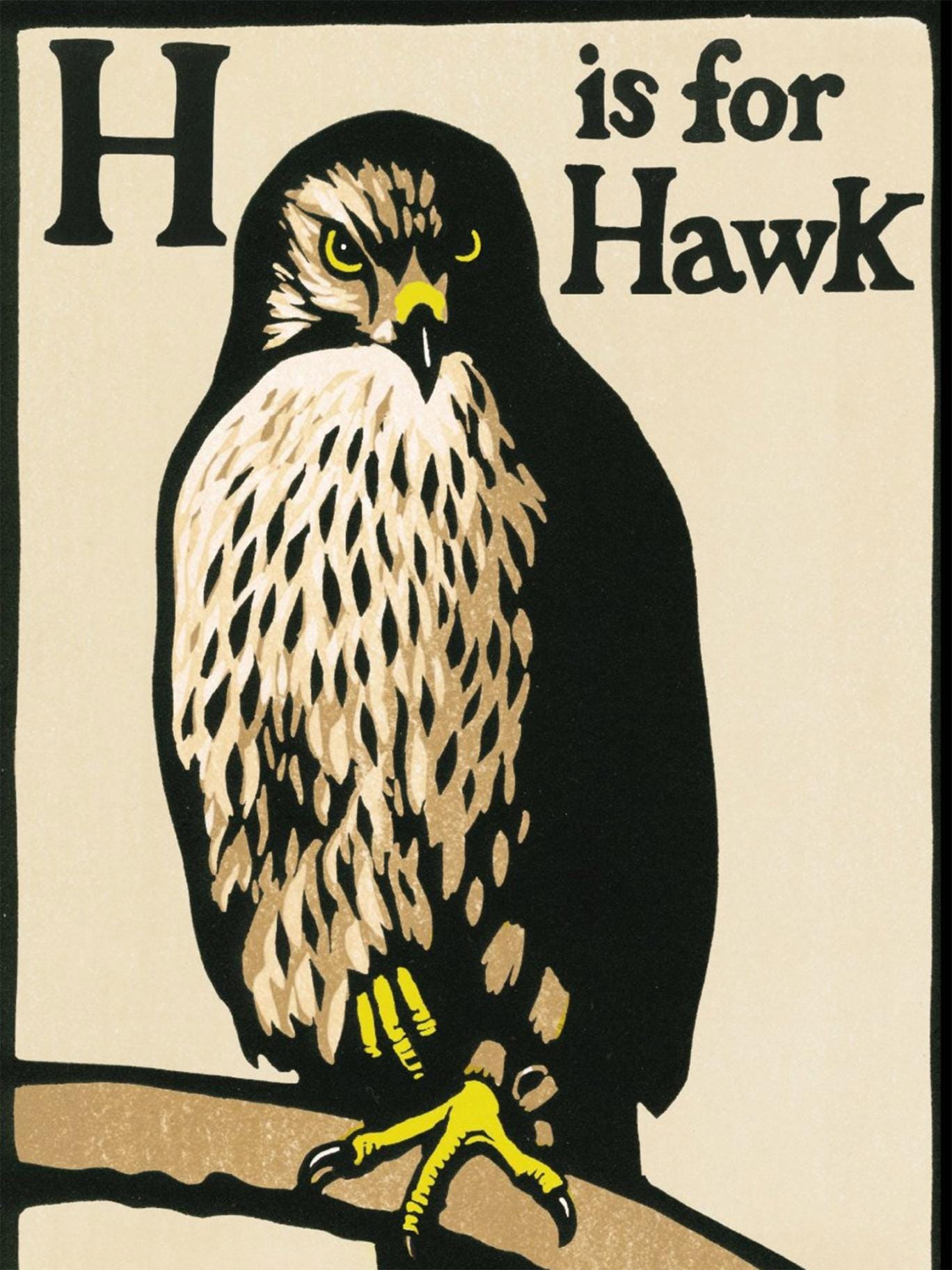 H Is for Hawk - Helen Macdonald