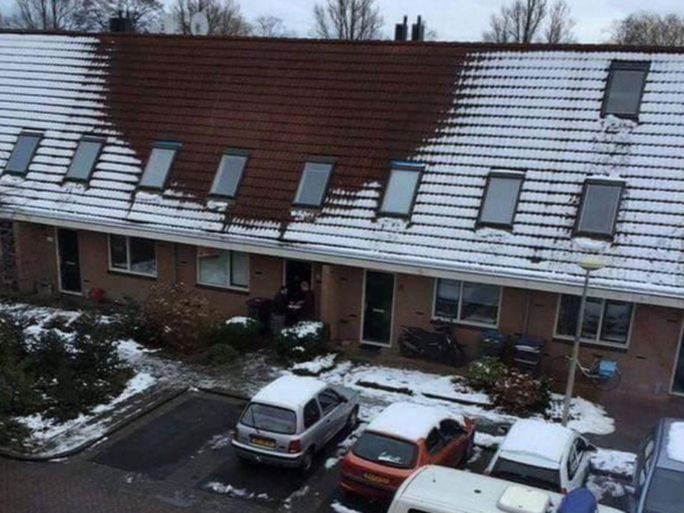 A snow-free cannabis farm found in Haarlem, the Netherlands