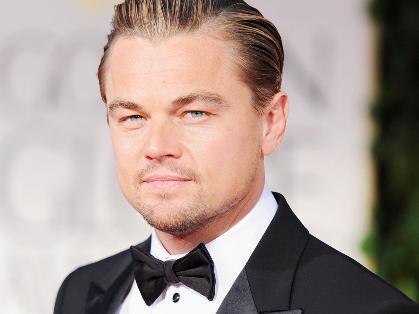 6. Hollywood star Leonardo DiCaprio