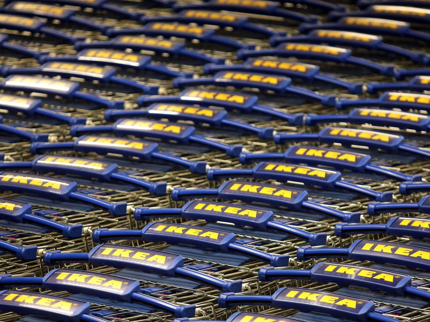 IKEA shopping carts are seen at the newly opened IKEA store near Zagreb on August 21, 2014