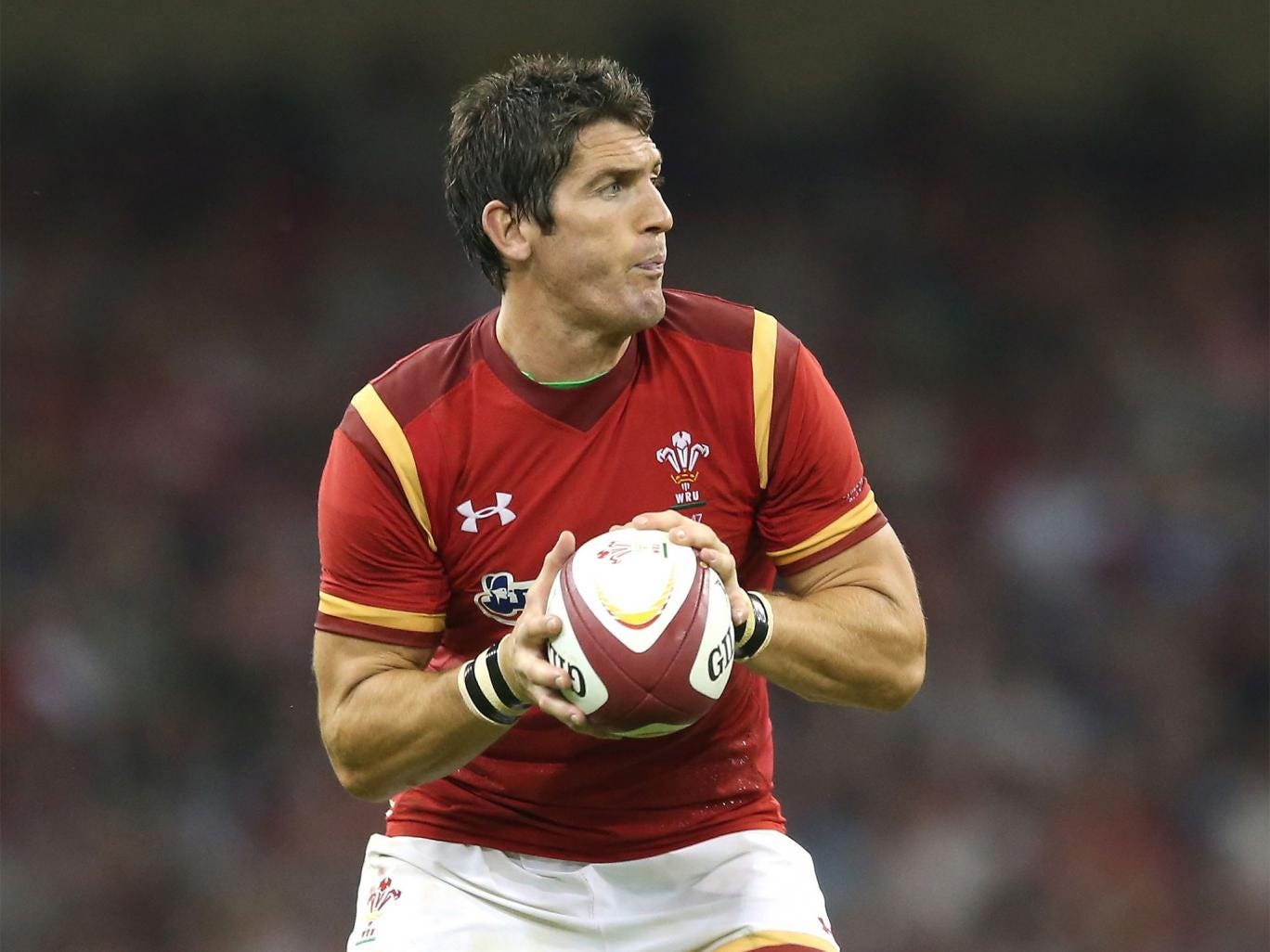 James Hook (rugby union) Complete Biography with [ Photos Videos ]
