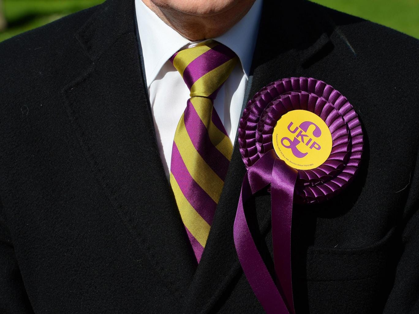 Ukip voter