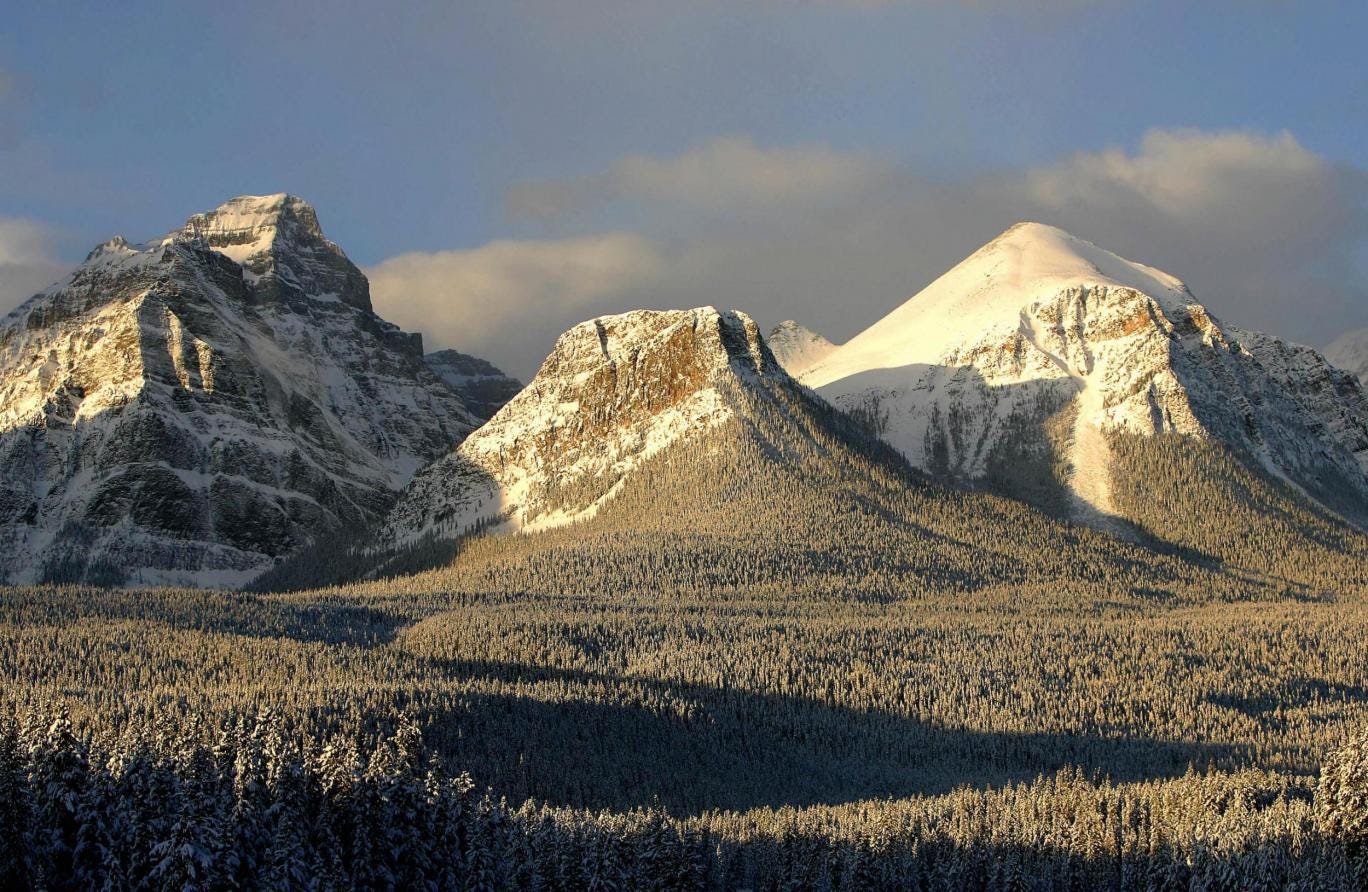 The Canadian Rockies in the Banff National Forest (with the ground firmly in place)