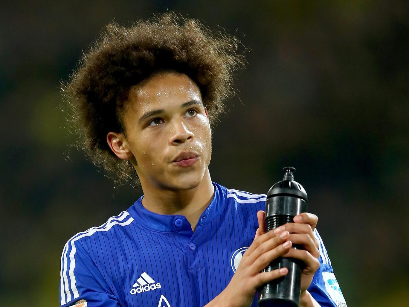 transfers schalke 04 transfers schalke 04