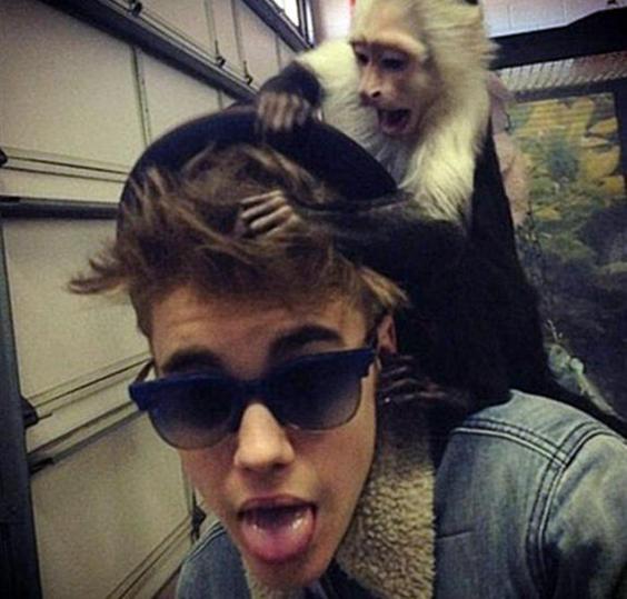Justin-Bieber-monkey.jpg