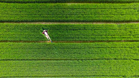 dronestagram-12.jpg