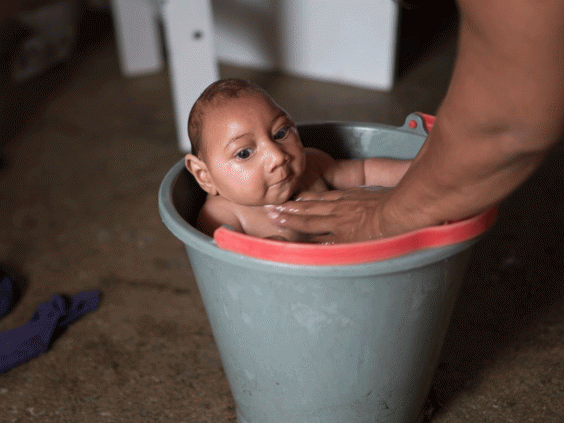 Brazil finds Zika virus in urine and saliva