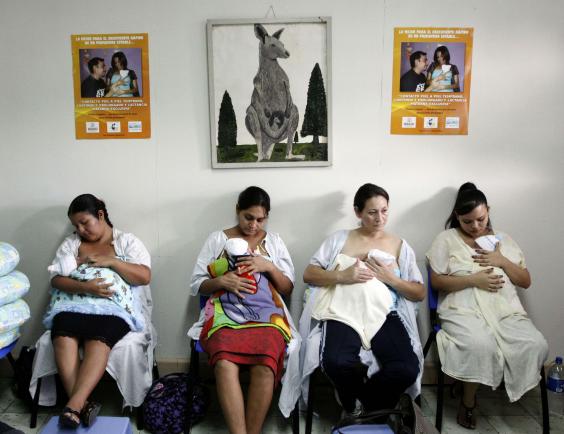 zika1.jpg zika1.jpg