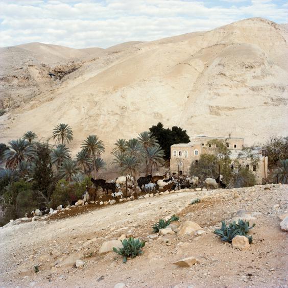 Palestine-wadi-q.jpg