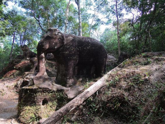 elephant_cambodia_2.jpg