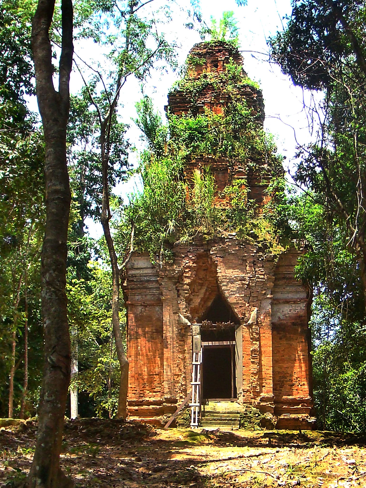 Treasures of the Cambodian jungle | Asia | Travel | The Independent