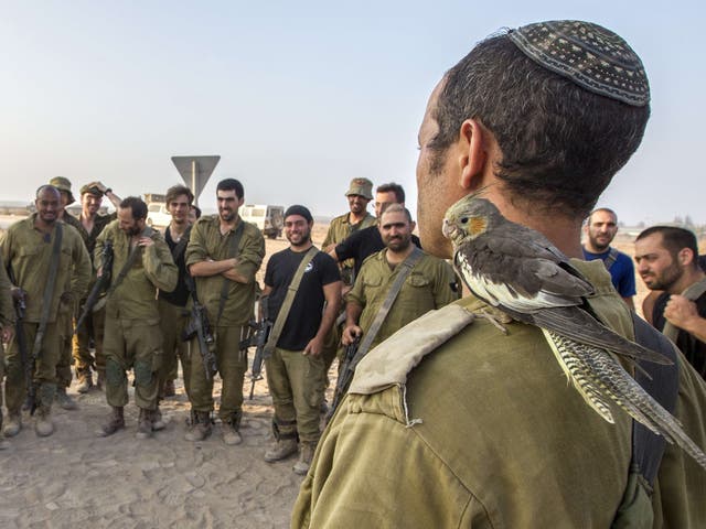 An Israel officer with a bird on his shoulder speaks to his soldiers after they returned from a ground offensive in the Gaza Strip, at an army deployment area near Israel's border with the besieged Palestinian territory, as the conflict entered its third week with neither side showing any sign of willingness to pull back 