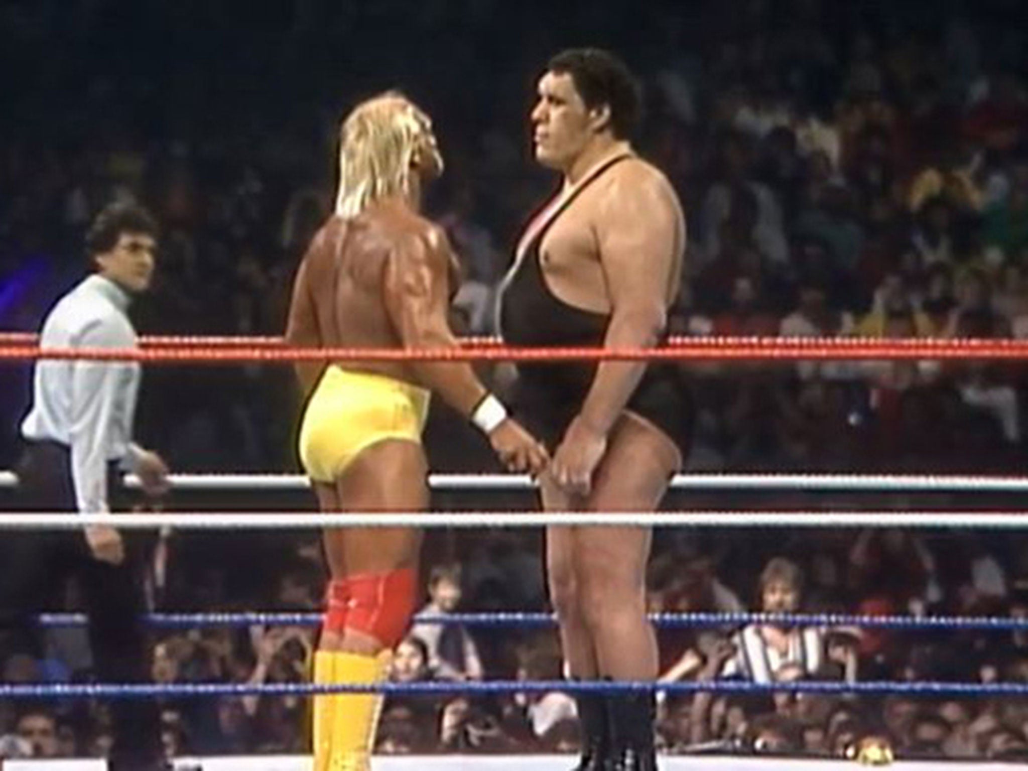 Andre the giant vs giant gonzalez