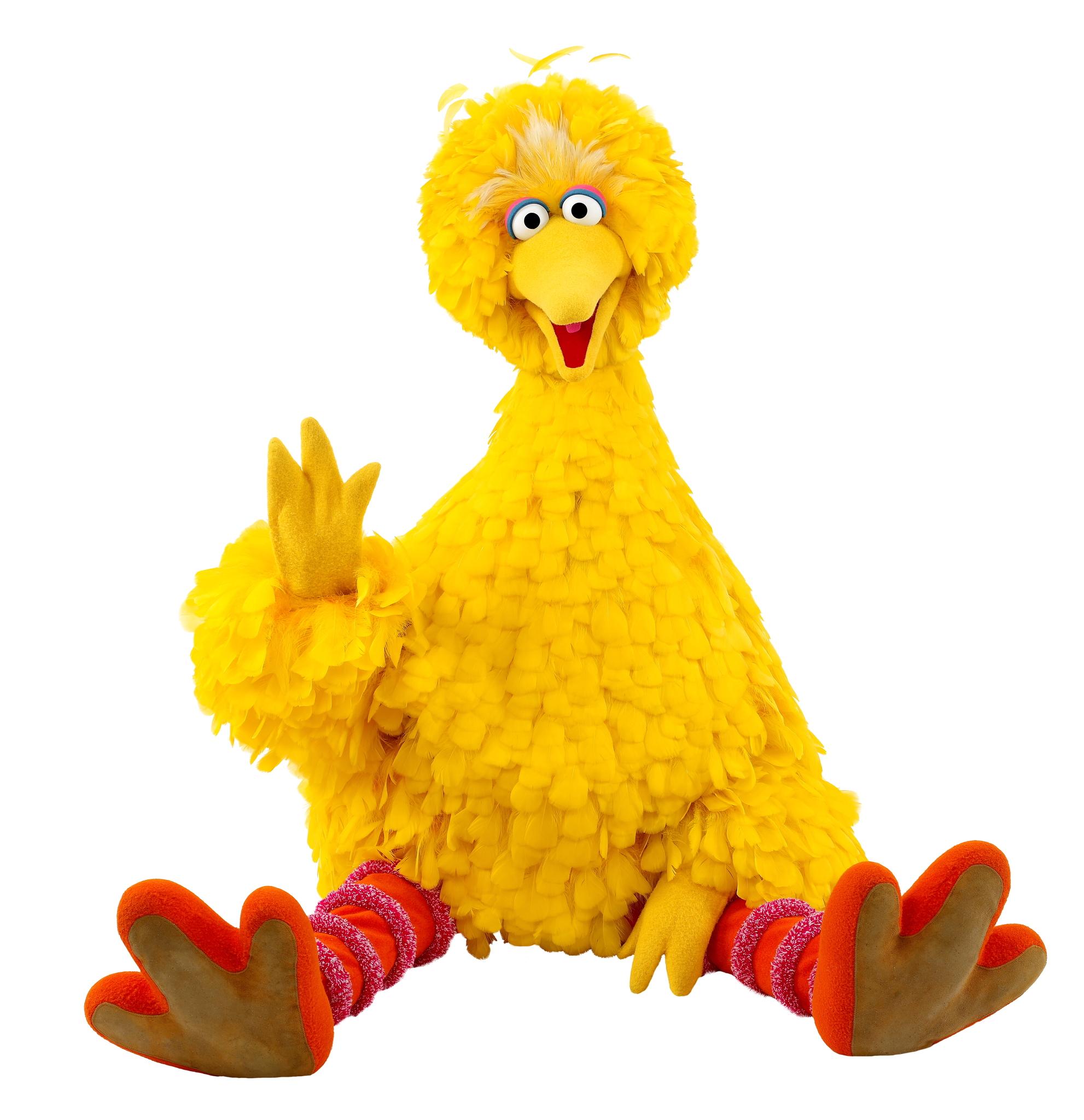 bigbird.jpg