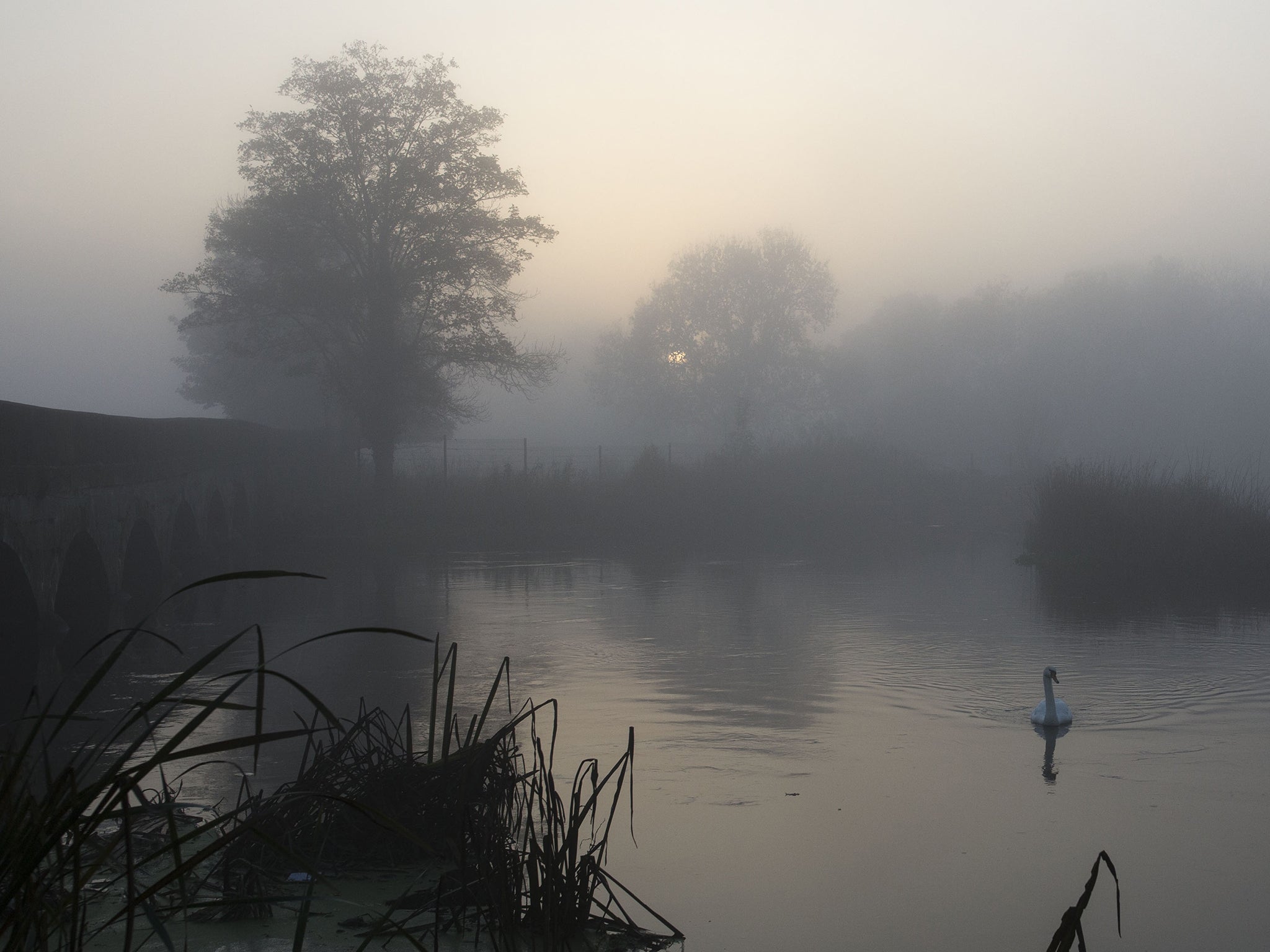 UK weather: Fog to clear making way for 'warmest November day on record