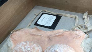 These fake, sculpted breasts were donated by a woman in Belgrade, Serbia, whose husband urged her to wear them during sex. She left him instead.