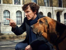 Sherlock season 4 has morphed into a grotesque parody of the witty, faithful TV adaptation it once was