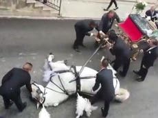 Horse collapses from exhaustion while pulling newly married couple's wedding carriage up hill