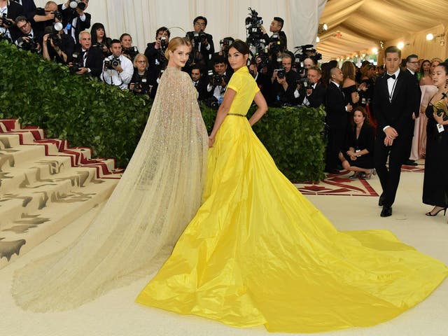 Lily Aldridge and Rosie Huntington-Whiteley walked the red carpet together, both wearing Ralph Lauren Collection gowns