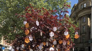 The Trees of Hope trail in St Ann's Square where people are encouraged to leave and share tributes
