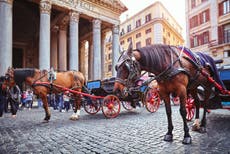 Rome’s horse-drawn carriages labelled ‘animal abuse’ after video shows horse falling in the street