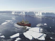 南極大陸の「終末の氷河」を阻む棚氷, 破砕していて「長くは続かない」, 科学者は警告します