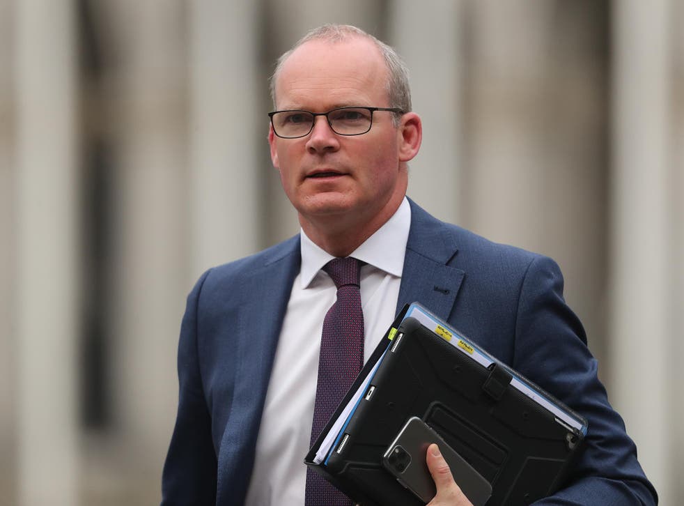 <p>Simon Coveney has criticised minsters for being inflexible </p>