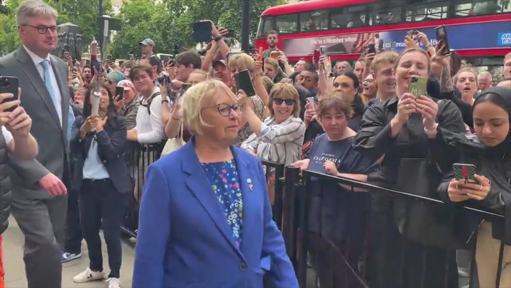 Boris Johnson loyalist shouts 'wait and see' at protesters outside Downing Street