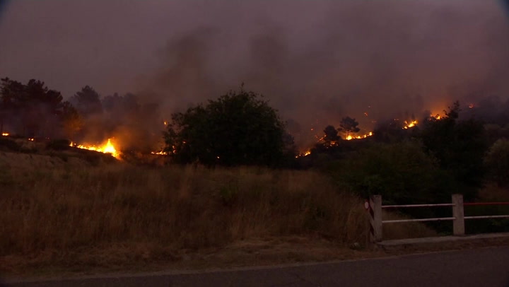 ポルトガル: Wildfire engulfs forest amid drought and heatwave across country