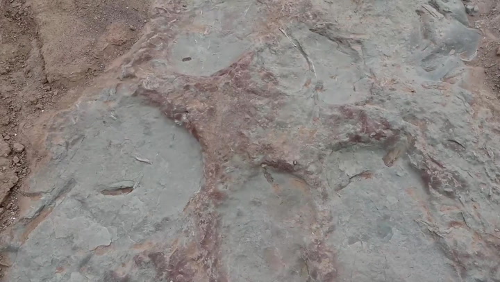 Dinosaur footprints fossils discovered in China