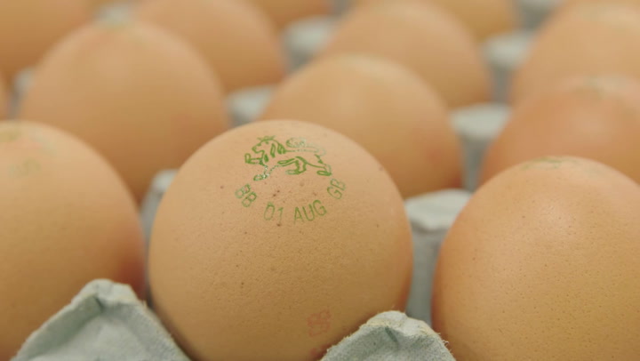 Morrisons launch ‘carbon neutral’ eggs in Yorkshire stores