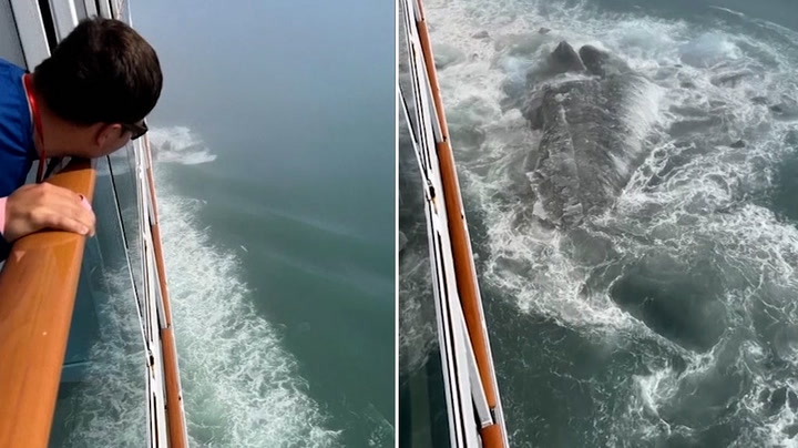 ‘It’s Titanic 2.0!»: Passenger captures moment cruise ship hits iceberg off coast of Alaska
