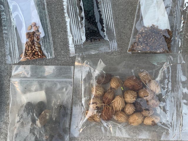 Some of the mysterious and unsolicited packets of seeds received by Americans this summer
